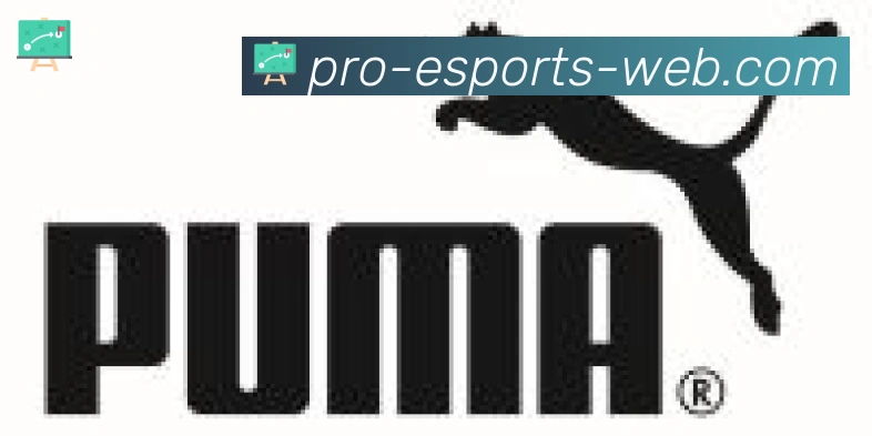 DOTA比分合作伙伴